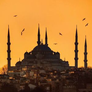 美女黑洞洞被人操
